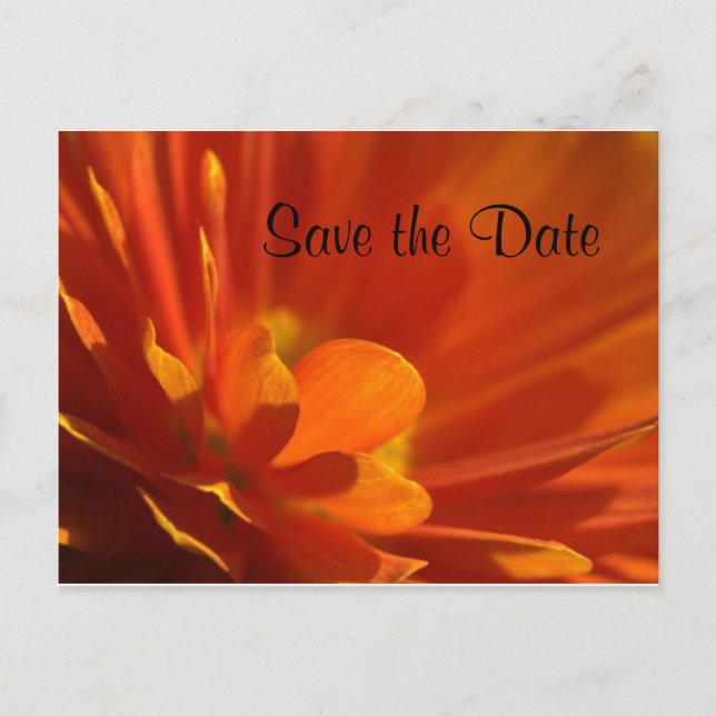 Save the Date orangefarbene Blume Ankündigungspostkarte (Vorderseite)