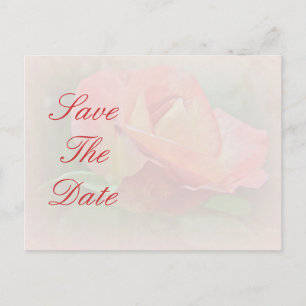 Save the Date - Peachy Rose Blossom Ankündigungspostkarte