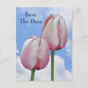 Save the Date Pink Tulips Blue Sky Blume Postcard Ankündigungspostkarte