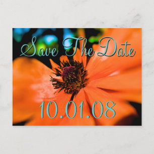 Save the Date - Poppies Ankündigungspostkarte