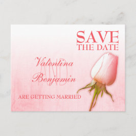 Save the Date Postcard Single Rosa Bug Rose Ankündigungspostkarte