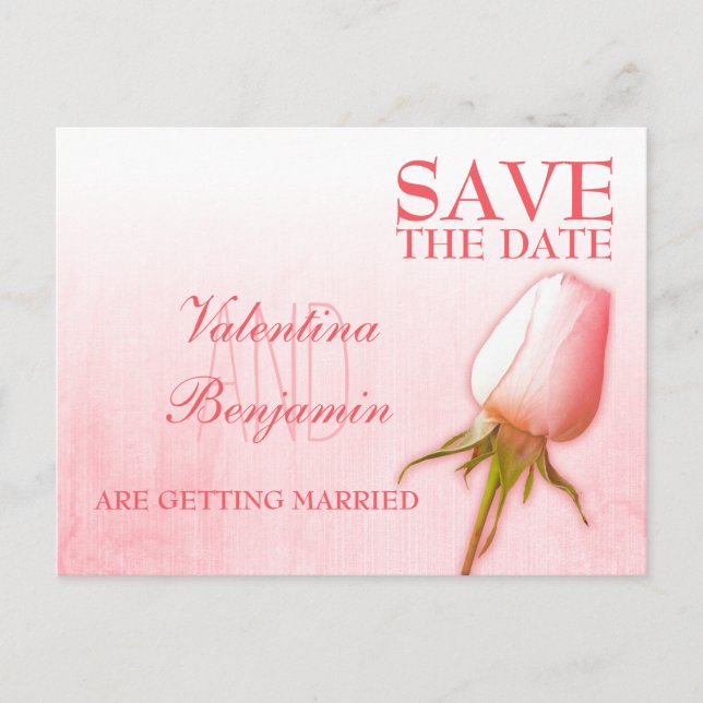 Save the Date Postcard Single Rosa Bug Rose Ankündigungspostkarte (Vorderseite)