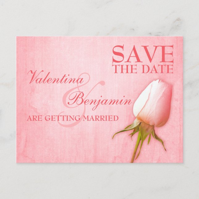 Save the Date Postcard Single Rosa Bug Rose Ankündigungspostkarte (Vorderseite)