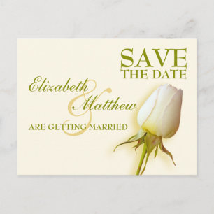 Save the Date Postcard Single White Rose Bud Ankündigungspostkarte