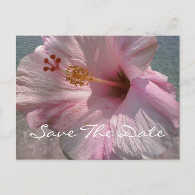 Save the Date Postcard - Tropical Beach Wedding Ankündigungspostkarte (Vorderseite)