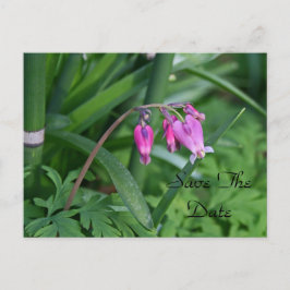 Save the Date Postkarte