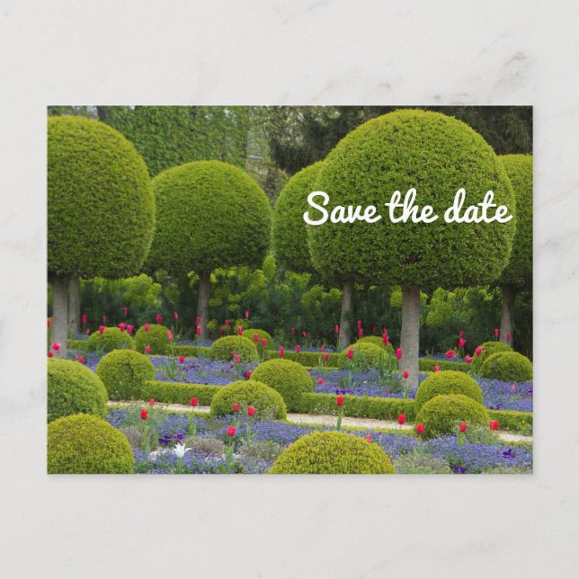 Save the Date Postkarte (Vorderseite)