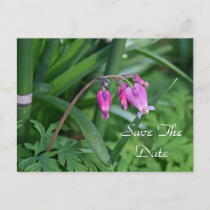 Save the Date Postkarte