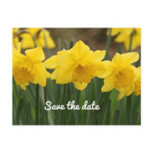 Save the Date Postkarte