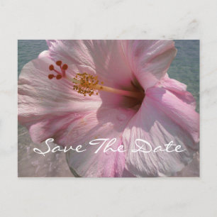 Save the Date Postkarte - tropische
