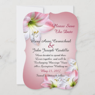 Save the Date rosa Amaryllis