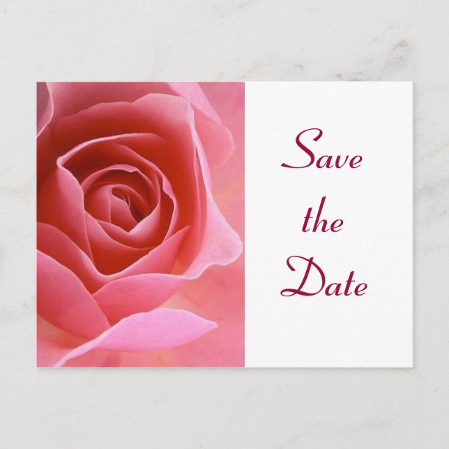 Save the Date Rosa Rose Ankündigungspostkarte (Vorderseite)