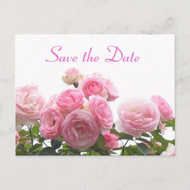 Save the Date - rosa Rosen Ankündigungspostkarte (Vorderseite)