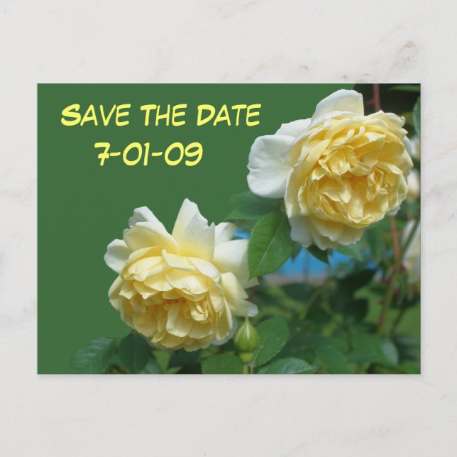 Save the Date Rose Blume Foto Postkarte (Vorderseite)