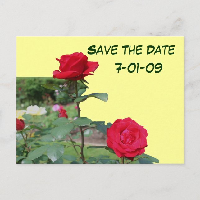 Save the Date Rose Blume Foto Postkarte (Vorderseite)