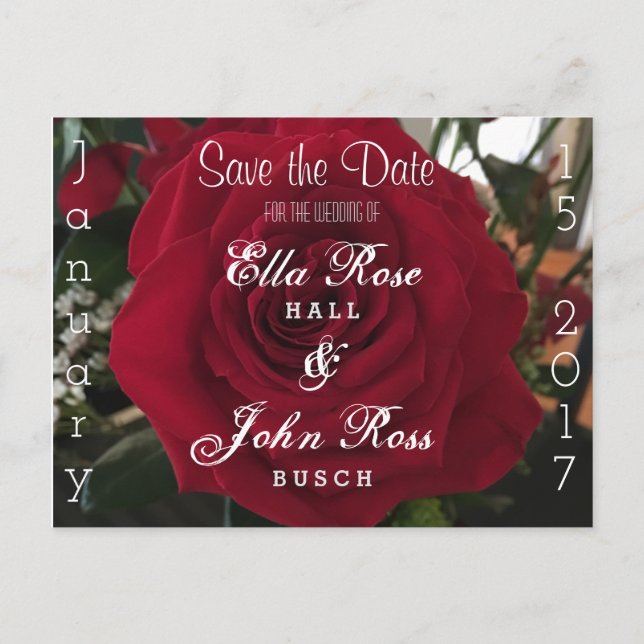 Save the Date Rose Postkarte (Vorderseite)