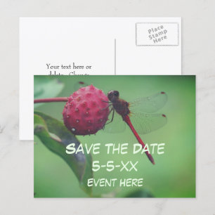 Save The Date Rote Libelle Natur Ankündigungspostkarte
