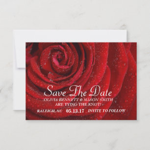 SAVE THE DATE - ROTE ROSE
