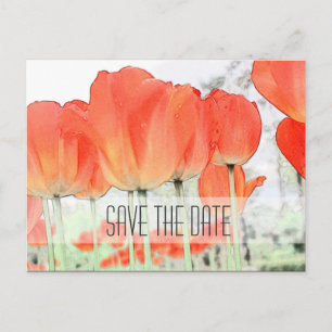 Save the Date, rote Tulpen Blume Foto Ankündigungspostkarte