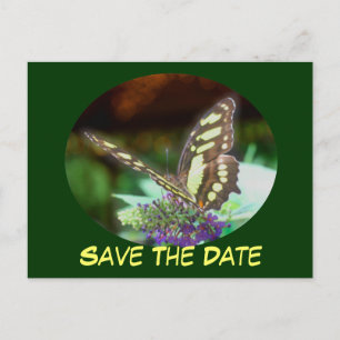 Save the Date Schmetterling auf Blumen-Postkarte Ankündigungspostkarte