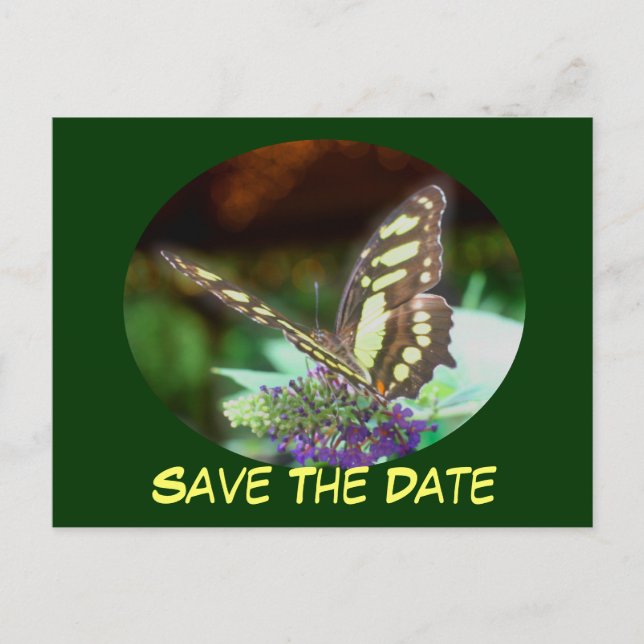 Save the Date Schmetterling auf der Blumen Postkar Ankündigungspostkarte (Vorderseite)