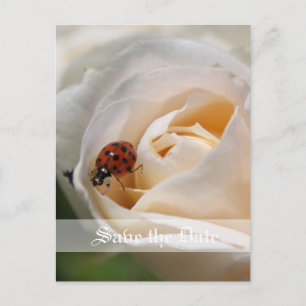 Save The Date. Schöne Blume Ankündigungspostkarte