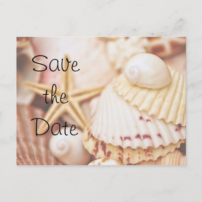 Save the Date Seashell Postcard Ankündigungspostkarte (Vorderseite)