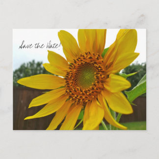 Save the Date Sonnenblume Postkarte