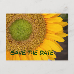 Save the Date Sonnenblumenfotografie Postkarte