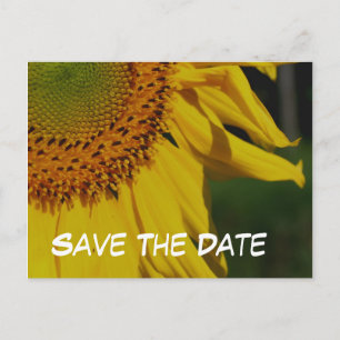 Save the Date Sunflower Blume Foto Postkarte