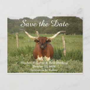 Save the Date Texas Longhorn Ankündigungspostkarte