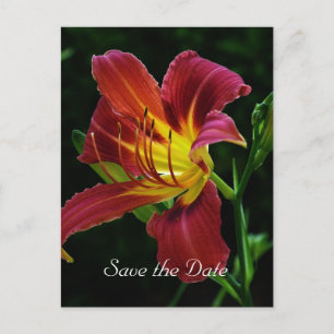 Save the Date, Tigerlilie-Blume Ankündigungspostkarte