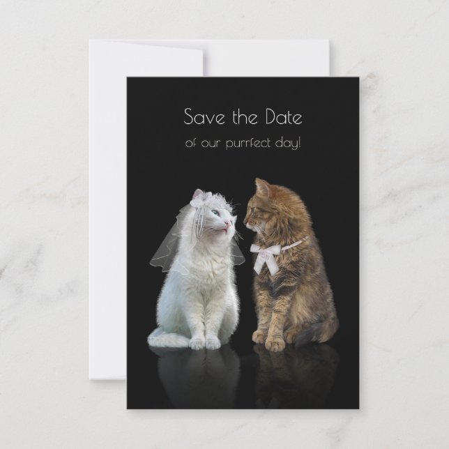Save the Date unseres Purr-Fect-Tages! (Vorderseite)