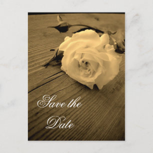 Save the Date Vintage Sepia White Rose Postcard Ankündigungspostkarte