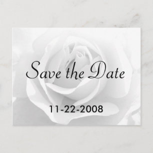 Save the Date weiße Rose Ankündigungspostkarte