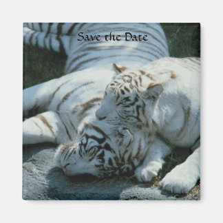 Save the Date weiße Tiger-Magnete Magnet