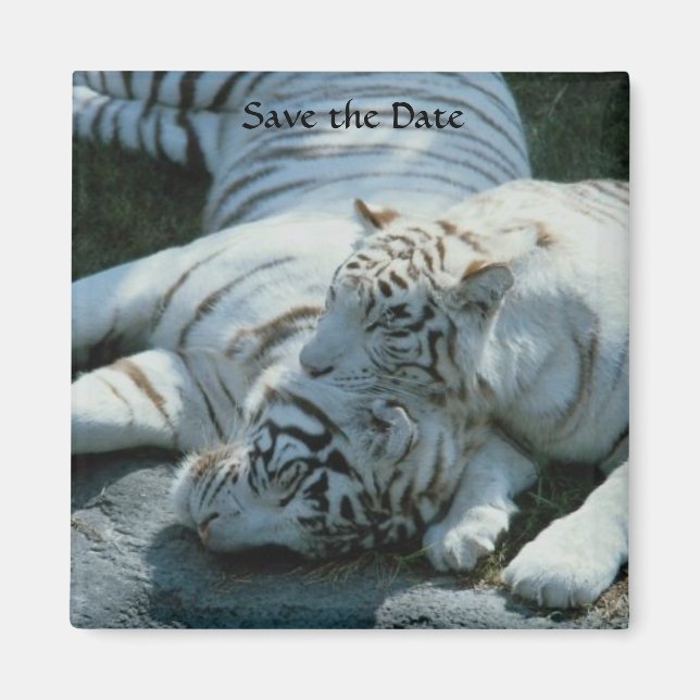 Save the Date weiße Tiger-Magnete Magnet (Vorne)