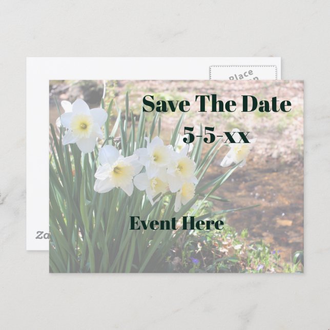 Save The Date White Daffodil Flowers Ankündigungspostkarte (Vorne/Hinten)