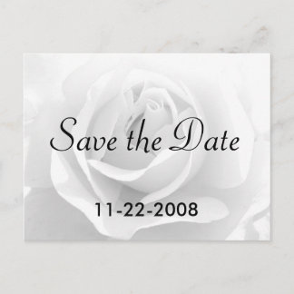 Save the Date White Rose Ankündigungspostkarte