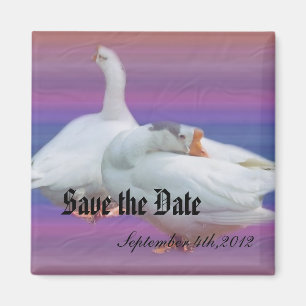 Save the Date, zwei weiße Gänse im extravaganten H Magnet
