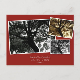 SaveTheDate Ankündigungspostkarte