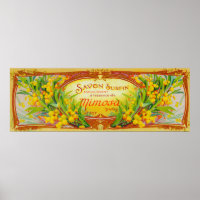 Savon Surfin Soap LabelParis, Frankreich