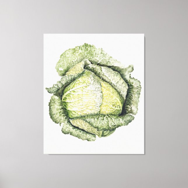 Savoy Cabbage Leinwanddruck (Vorderseite)