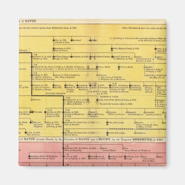 Savoyhaus, von 1000 bis 1813 magnet (Vorne)