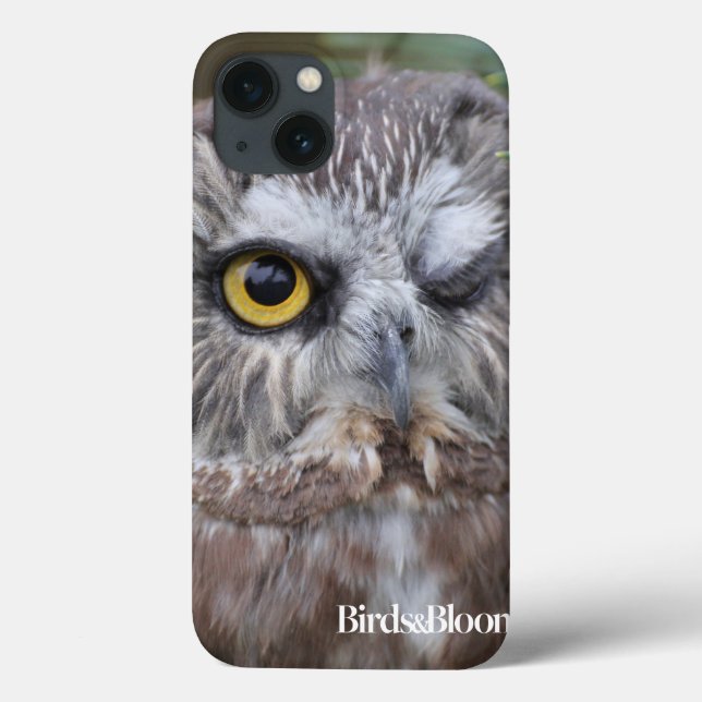Saw-whet Owl Case-Mate iPhone Hülle (Rückseite)