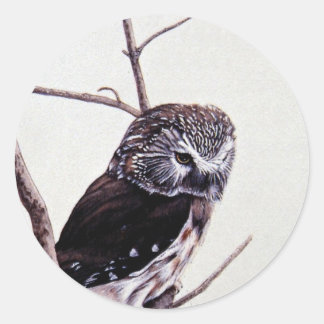 Saw-whet-uhu Runder Aufkleber
