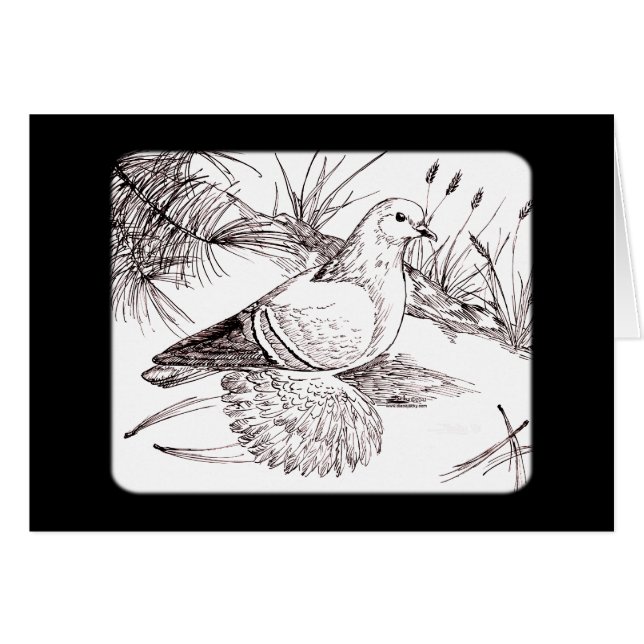 Saxon-Feldtaube (Vorderseite (Horizontal))