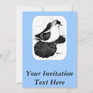 Saxon Swallow Taube 1978 Einladung