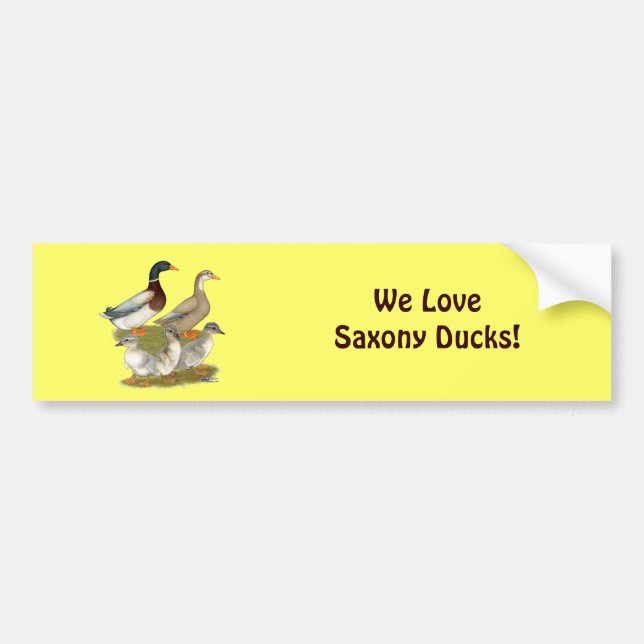 Saxony Duck Family Autoaufkleber (Vorne)