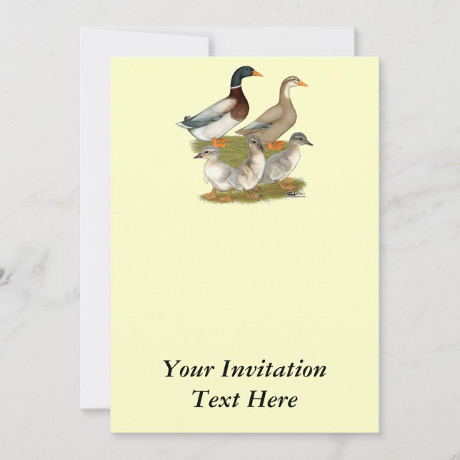 Saxony Duck Family Einladung (Vorderseite)
